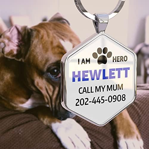Dog Tags Personalized Pet ID Tags - QR Code Customize Dog Cat Tag - Pet Online Profile Display Pet Information