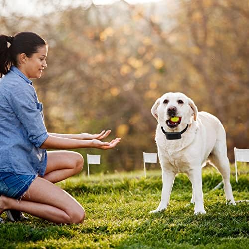 Electric Dog Fence System – Wireless Pet Containment System with Dual Waterproof Shock Collars, 984 Ft Underground Wire Covers 1.2 Acres for Small, Medium & Large Dogs (4 lbs+)