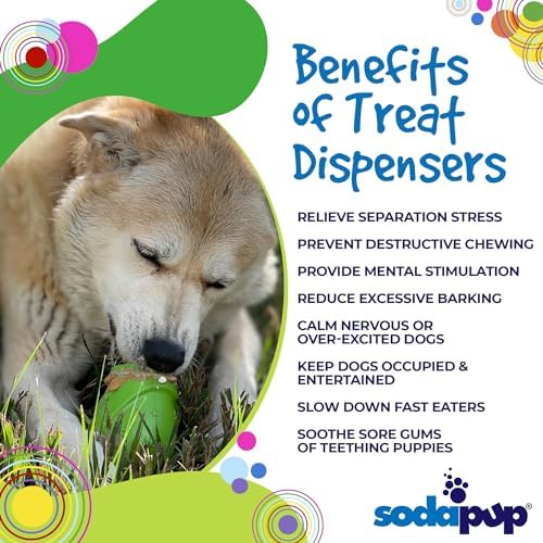 SodaPup Gnome – Durable Dog Treat Dispenser & Chew Toy Made in USA from Non-Toxic, Pet Safe, Food Safe Rubber Material for Mental Stimulation, Problem Chewing, Calming Nerves, & More