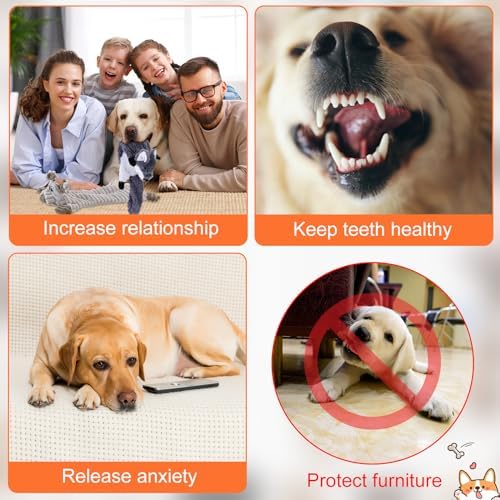 Outus 20 Pcs No Stuffing Dog Squeaky Toys Bulk, Cozy