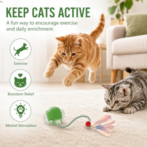 Interactive Cat Toy Ball with LED Lights – USB-C Rechargeable Automatic Cat Toy with Feather Tail for Indoor Cats & Kittens, Upgraded Version