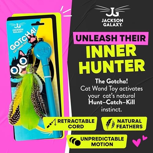 Jackson Galaxy Gotcha! Cat Wand Toy, Interactive Feather Teaser for Cats