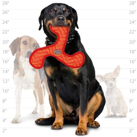 TUFFY® - DuraForce® 2 Pack Rabbit and Boomerang Plush Dog Toys