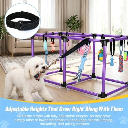 Purple Puppy Play Gym with 12 Hanging Toys