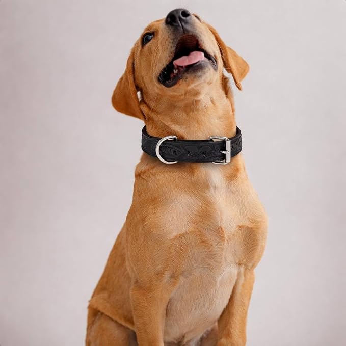 TARICO Genuine Leather Dog Collar with Engraved Floral Design for All Breeds, Heavy Duty Durable Metal Buckle Non Padded Adjustable Pet Collar - Black (Medium: Fits 15–19" Necks)
