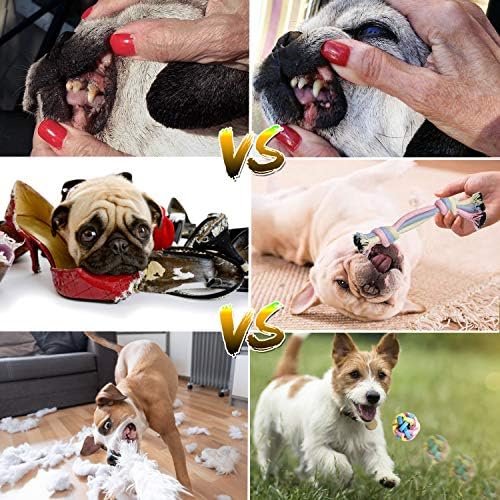 Puppy Chew Toys - Interactive Teething Dog Rope Toy & Balls for Small Dogs