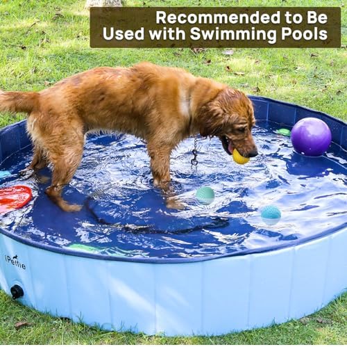 iPettie Summer Floating Dog Ball, Squeaky Water Fetch Toy