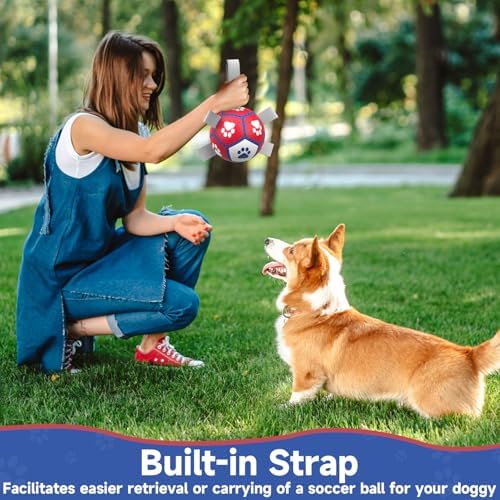 Diman Small Dog Toys, 5 Inch Dog Balls, Soccer Ball for Dogs with Straps