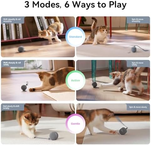Cheerble 2 in 1 Interactive Cat Toys for Indoor Cats - Wicked Ball Duo2 Automatic Cat Toy, Dual Interchangeable Shells, Electric Cat Toy Ball with Chirping Sounds,Rechargeable Moving Kitten Toys, Blue