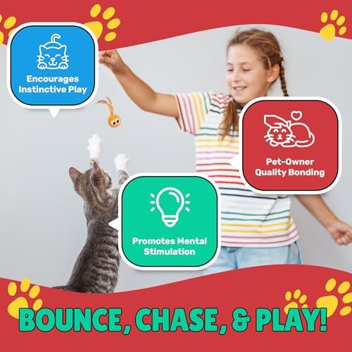 Bouncy Tails 3-Pack Cat Ball Toy with Natural Feathers, Interactive Cat Toys for Bored Indoor Adult Cats, Feather Cat Toy for Indoor Cats and Playful Kittens