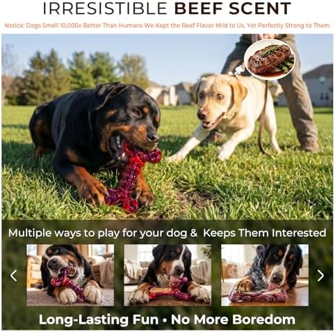 Kseroo 3-Pack Beef Flavored Dog Chew Toys for Aggressive Chewers, Red-XL