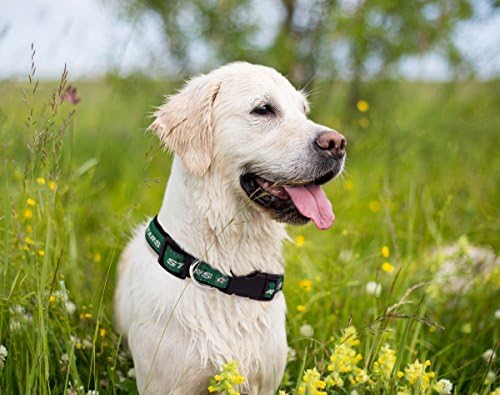 Pets First NHL Collar for Dogs & Cats. Adjustable, Cute, & Stylish! The Ultimate Hockey Fan Collar!