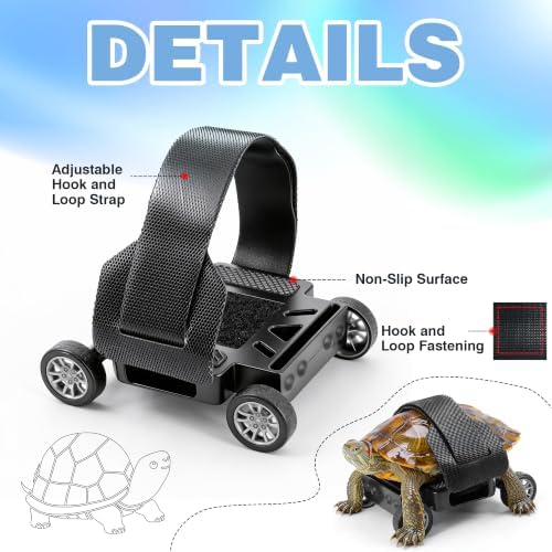 Adjustable Turtle Skateboard Playing and Training Toys Set, Full Wheel Stable Support Hook and Loop Strap, Toy for Small Reptiles & Pets (Medium)