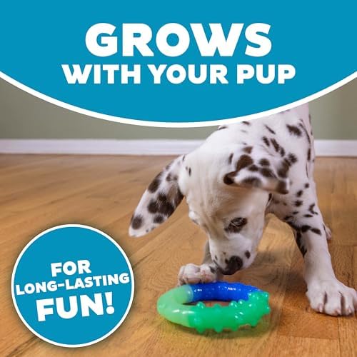 Grow-with-Me Ring Dental Dog Chew Toy, Bounces & Floats, 4.7"