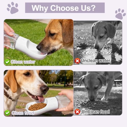 Portable Dog Water Bottle with Food Container, Drinking Bottle for Travel