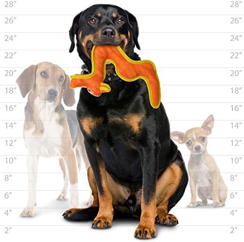 Tuffy® - DuraForce® : Dragon Dog Toy: Ultra Durable Plush Toy with Multiple Layers & Reinforced Seams, Washable and Floats, DuraForce® Construction
