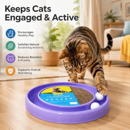 Cat Scratcher Toy Ball Track (Purple)