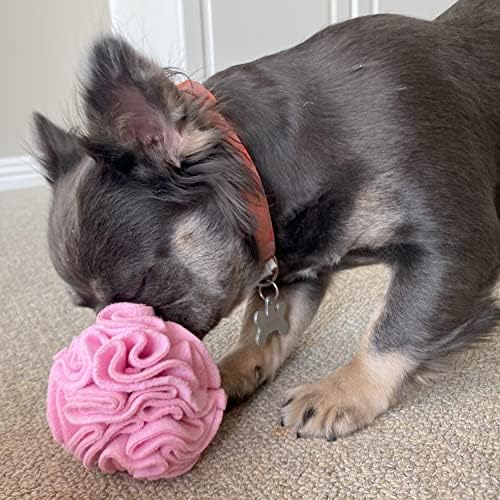 Glory To Dog Small Breed Snuffle Puzzle Ball Treat Foraging Dog Toy Pink