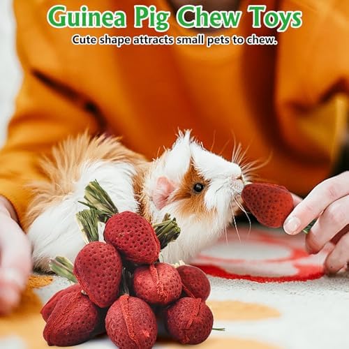 Fhiny Rabbit Chew Toys, 12 PCS Natural Hamster Molar Snacks Handmade Small Animal Chew Toys for Teeth Timothy Hay Treats Habitat Decor for Bunny Guinea Pig Chinchilla Hamster Gerbil Dental Care