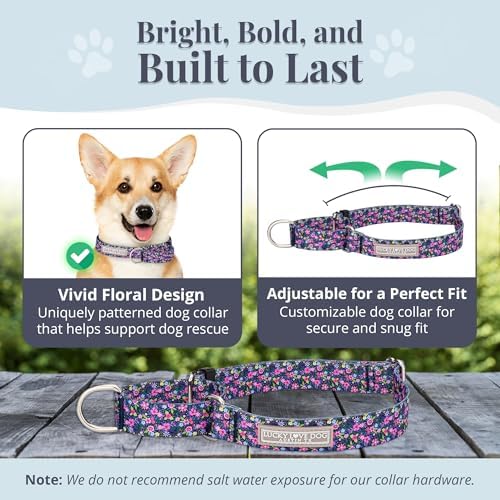 Lucky Love Dog Martingale Collar for Small Dogs No Slip – Primrose, Small