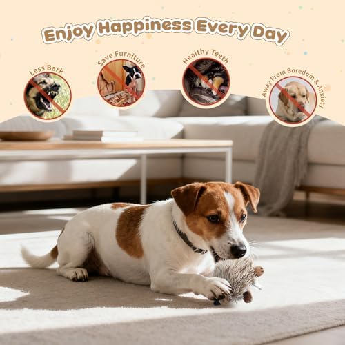 Pawaboo 2 Pack Hedgehog Plush Dog Toy, Squeaky Dog Chew Toy Soft Plush