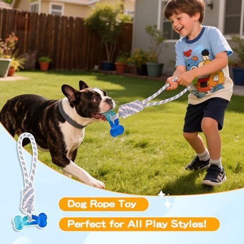 Dog Chew Toys for Aggressive Chewers, Multiple Textures & Rope, ndestructible Tough Durable Interactive Dog Toys, Puppy Chew Toys for Teething， Blue Bone