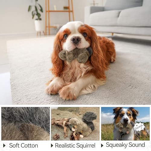 ALL FOR PAWS Squeaky Dog Toys, Plush Squirrel Dog Toy, Stuffed Animal Dog Toys for Small Medium Large Dogs, Soft Puppy Chew Toy with Squeaker