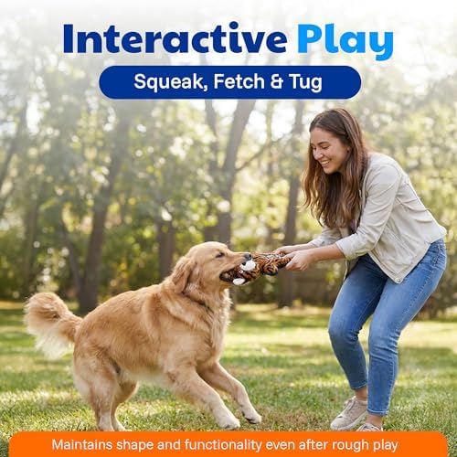 American Kennel Club Plush Dog Toy with Squeaker for Moderate Chewers, Soft Stuffed Dog Toy for Tugging, Fetch & Interactive Play, Gentle on Teeth
