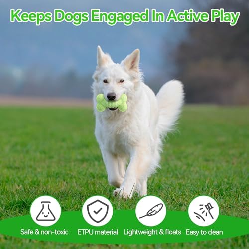 ALL FOR PAWS Dog Bone Toy, ETPU Bouncy Fetch Toys for Dog, Lightweight Dog Bone Toys for Medium & Large Dogs, High-Rebound Dog Interactive Toy for Outdoor & Indoor