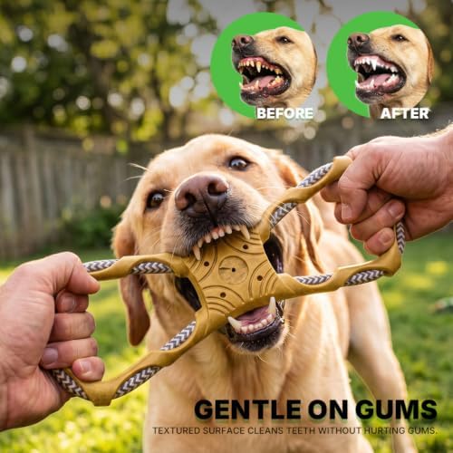Tug of War Dog Toy, Interactive Dog Toys, Dog Chew Toys, Yellow