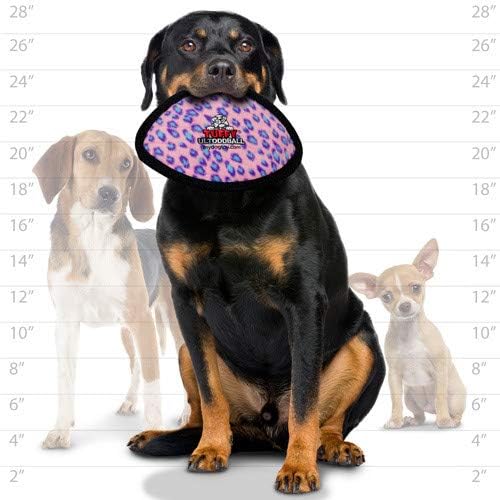 TUFFY® 2 Pack Ultimate Odd Ball Ultra Durable Plush Dog Toys