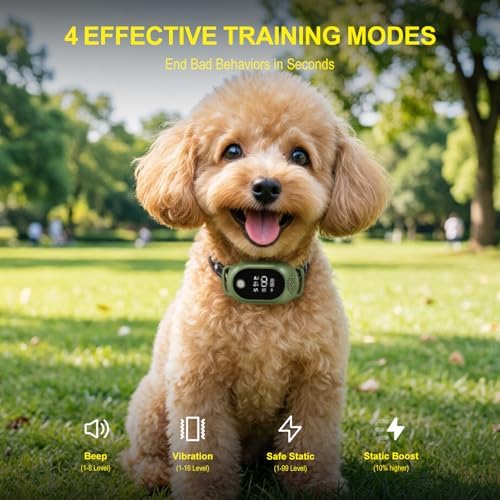 Dog Shock Collar with Remote Control, Shock Collar for Dogs,Green