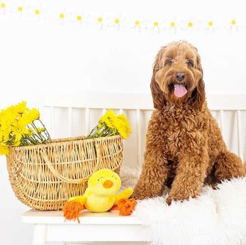Fringe Studio Plush Dog Toy, Sweet Little Chick, Pet Shop Collection (314137)