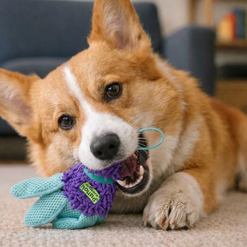 Outward Hound FlyFetch Birdie Dog Toy, Fetch or Replacement Tail for Teaser Wand, Multiple Textures, All Breeds, 5.5", 2-Pack