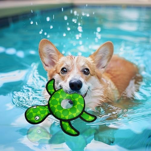 Floating Dog Squeaky Water Pool Toys Water Fetch Toys for Small Medium Dogs, Quick-Dry Waterproof, Lake & Beach Interactive Summer Dog Toy Turtle