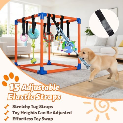 Puppy Play Gym with 15 Hanging Toys for Small Dogs, PVC Frame with Bungee Straps, Interactive Indoor Jungle Playground for Entertainment, Teething and Mental Stimulation