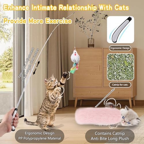 Suction Cup Cat Toy for Indoor Cats