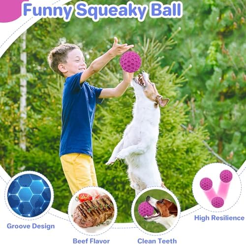 DISSKNIC Tough Squeaky Dog Balls Puppy Toys, Interactive Dog Toys for Small Dogs, Puppy Chew Toys for Teething and Relax, Dogs Chew Toy Small Balls Dog Toys for Small Breed, Outdoor Dog Toy for Dogs