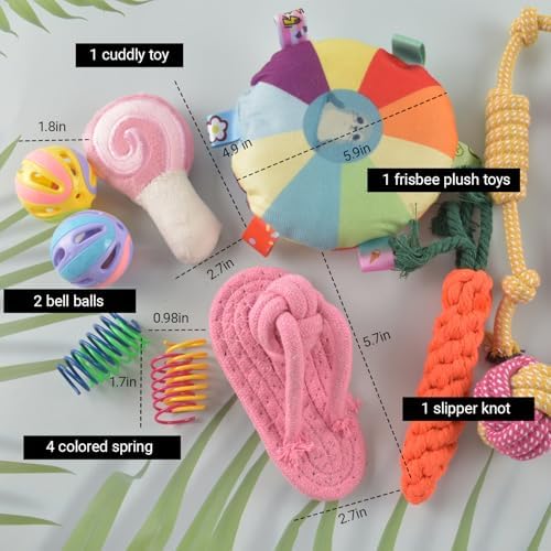 Ferret Toys Set Chew Rope Squeaky Exercise Toy Ferrets Rat Small Animals