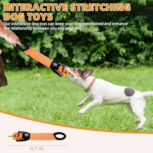 KOOLTAIL Halloween Dog Toys, Tough Plush Dog Chew & Squeaky Toys with Crinkle Paper, Interactive Training & Tug of War Puppy Teething Toy for Indoor Outdoor Play for Small Medium Large Dogs, Pumpkin