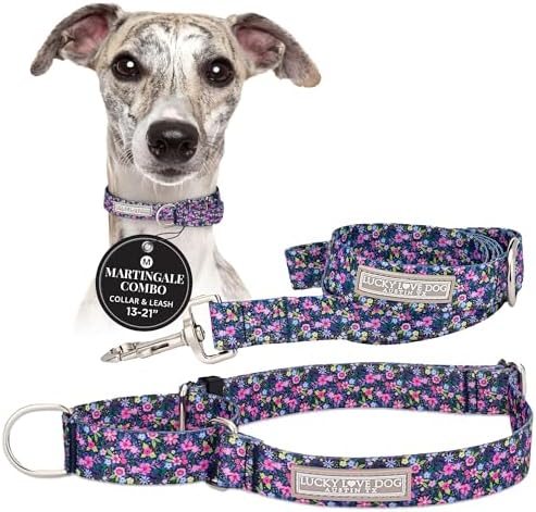 Lucky Love Dog Martingale Collar & Leash Set No Slip – Primrose, Medium