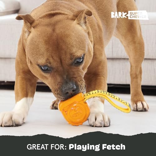 BarkBox Tug Measure Durable Dog Toy - Large