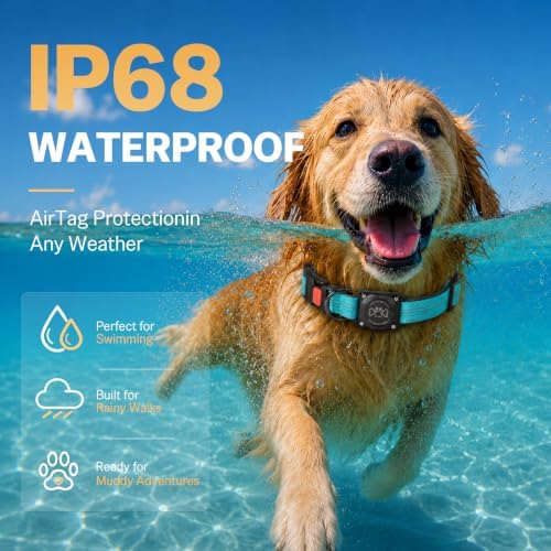 Dog Collar with AirTag Holder Waterproof QR Code Reflective Collar(Blue,S) | Built-in Waterproof Holder, QR Code Tag, Reflective,Secure Buckle