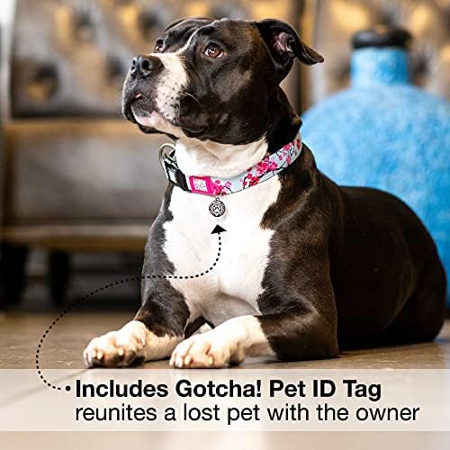 Max & Molly Urban Pets Smart ID Dog Collar - Soft Neoprene, Waterproof, Machine Washable, Power Buckle, Gotcha! QR Tag & Custom App Profile, Cherry Bloom M