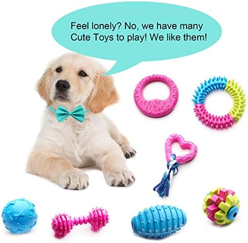 SZKOKUHO Small Dogs Puppy Chew Toys 17Pack Cute Variety Shape Multi Colors Designs to Bite Anytime Enjoy Teething Toys Training Supplies