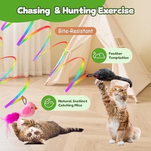 Interactive Cat Toys for Indoor Cats,Electric Flying Bird & Mouse Wand Teaser, Automatic Hanging Door Frame Chase/Hunt/Exercise Stimulate Feather Cat Toy for Bored Indoor Adult & Kitten (Green)