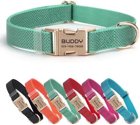 Personalized Reflective Nylon Dog Collar with Name, Green
