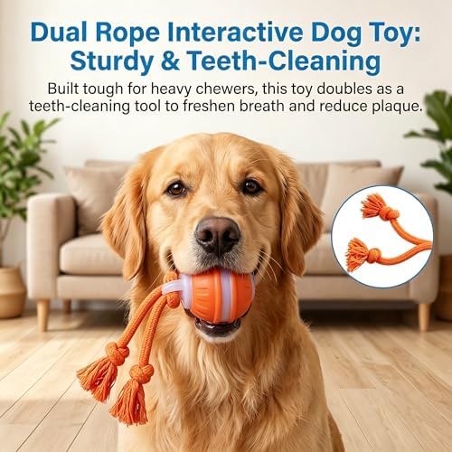 Interactive Dog Toys Automatic Rolling Ball with Rope Orange