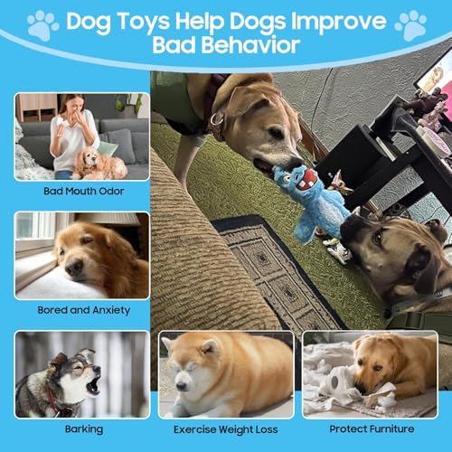 Bzonsmart Dog Squeaky Toys Plush Chew Toys for Small Medium Large Dogs