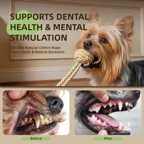 Interactive Tug Toys with Powerful Suction Cup for Puppy Dogs,Dog Enrichment Toys to Keep Them Busy,Teeth Cleaning Toys for Small Medium Breed Dogs,Indoor Toys,Pure Cotton,2PCS